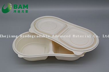 2 Compartments Fully Biodegradable Compostable Sugarcane Plant Fiber Takeaway Food Containers for Bun Dessert Fruits