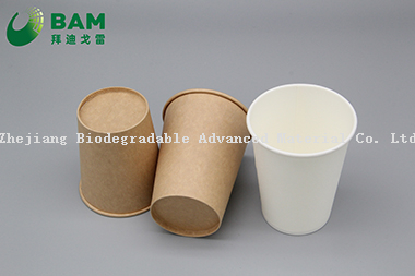 Biodegradable Convenient Compostable Disposable Food Containers Soup Bowls Hot Soup Plastic Paper Cup for Coffee Drink Juice