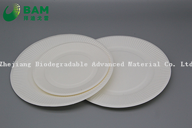 Fully Biodegradable Manufacture Disposable Eco-Friendly Compostable Sugarcane Corn Starch Takeaway Food Plate for Dessert Fruits Cake