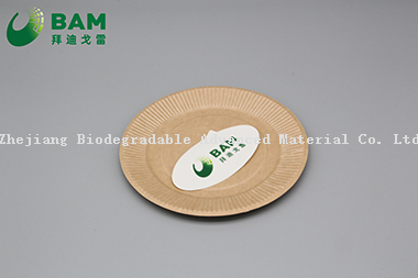 Fully Biodegradable Dividing Compostable Sugarcane Plant Fiber Bakery Takeaway Food Package Round Plate for Cake