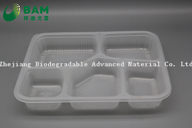 Fully Biodegradable 5 Compartment Compostable Sugarcane Plant Fiber Canteen Takeaway Food Containers for Fast-Food