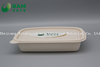 Fully Biodegradable Food Grade Disposable Compostable Sugarcane Plant Fiber Takeaway Food Packaging Containers for Salad