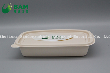 Fully Biodegradable Food Grade Disposable Compostable Sugarcane Plant Fiber Takeaway Food Packaging Containers for Salad