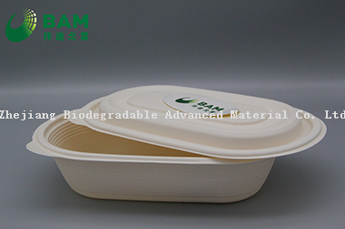 Food Grade Fully Biodegradable Compostable Sugarcane Cornstarch Plant Fiber Takeaway Canteen Food Containers for Salad Fast-Food