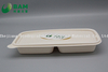 Fully Biodegradable Multi Compartment Disposable Plastic Food Container Compostable Sugarcane Plant Fiber Takw-Away Food Containers