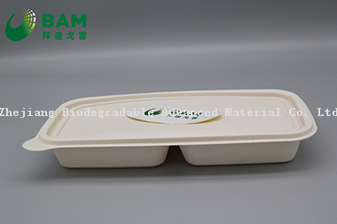 Fully Biodegradable Multi Compartment Disposable Plastic Food Container Compostable Sugarcane Plant Fiber Takw-Away Food Containers