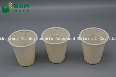 Biodegradable Convenient Compostable Disposable Plastic Cup for Ice Cream