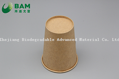 Biodegradable Convenient Compostable Disposable Food Containers Soup Bowls Hot Soup Plastic Paper Cup for Coffee Drink Juice